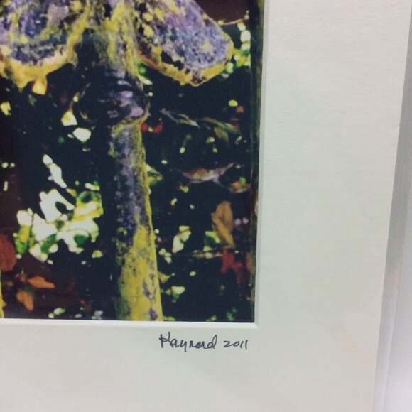 Rusted Iron Fence Color Photo Matted Art 11x14 Kaynard Photography Charleston SC - Picture 2 of 5